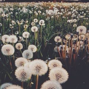 Meet your Posher, Coleton